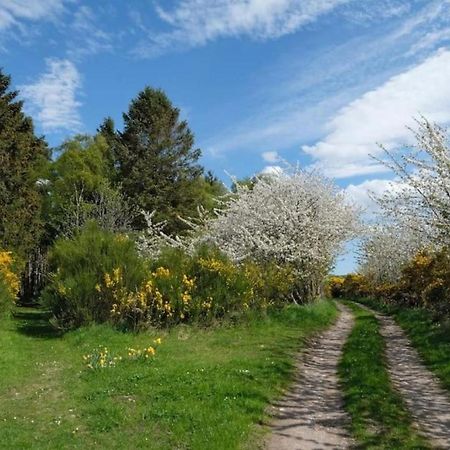 Lower Bruntlands Fochabers Zewnętrze zdjęcie